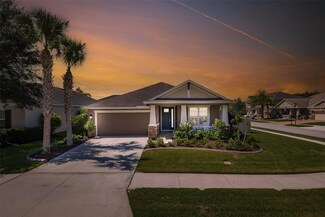 1770 Virginia Willow Dr, Wesley Chapel, FL 33544