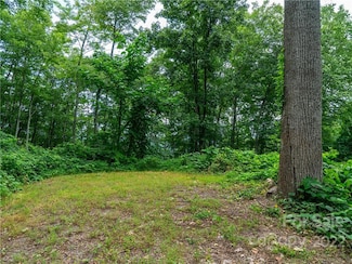 45 Flora Rose Trail, Asheville, NC 28803