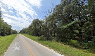 Lot 102 NE 118th Terrace, Bronson, FL 32621