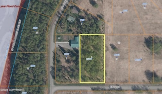 15131 E Nina Rd, Butte, AK 99645