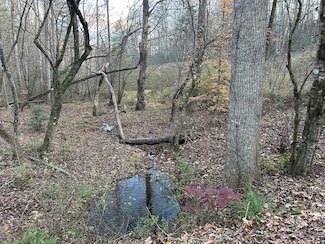 Lot 12 Tombstone Dr, Blairsville, GA 30512