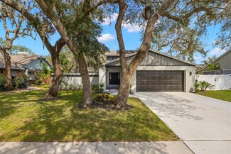 1434 Clarion Dr, Valrico, FL 33596