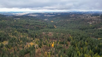 0 N Mt Carlton Apn 47131 9081 Rd, Mead, WA 99021