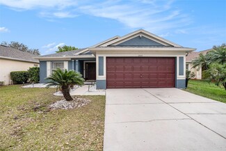 11414 Coconut Island Dr, Riverview, FL 33569