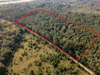 17288 County Road 399, Winona, TX 75792