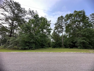 0 Private Road 1211, New Brockton, AL 36351