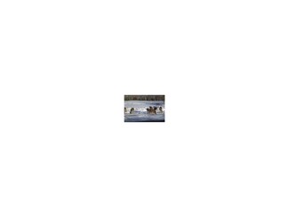 1640 NE Woodson Rd, Garnett, KS 66032