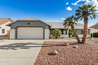 14413 W Sky Hawk Dr, Sun City West, AZ 85375