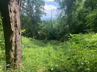 0 Chickadee Trail Unit 26040015, Whittier, NC 28789