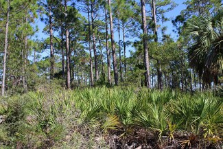 9444 Cr 30-A, Port St. Joe, FL 32456