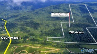 210 Acres County Road 604, Hollytree, AL 35751