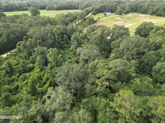 0000 N Holmes Creek Rd, Graceville, FL 32440