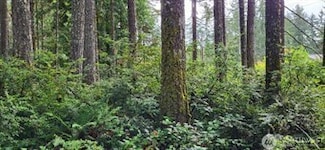 0 NW Holly Rd Unit NWM2402053, Seabeck, WA 98380