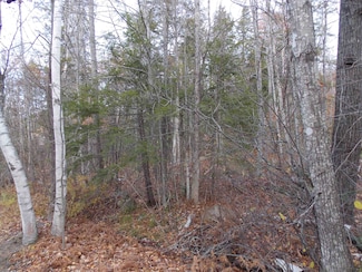 Lot 49 Mittenwald Strasse, Harts Lctn, NH 03812