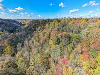 0 Wildcat Ln, Lafayette, TN 37083