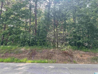 Lot 11 Deer Chase Rd Unit Lot 11, McCalla, AL 35111