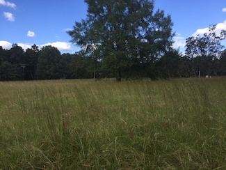 0 Sleepy Hollow Rd Unit 1302006, Terry, MS 39170