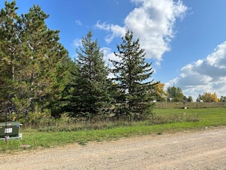 26807 Lidstrom Rd, Detroit Township, MN 56501