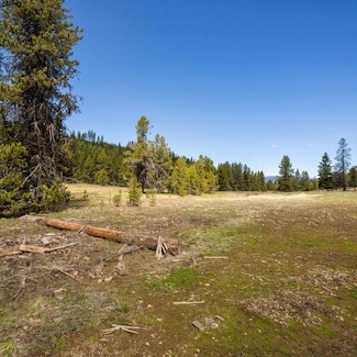 Lot 31 To Be Determined Unit 31, McCall, ID 83638