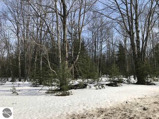 0 Lazy Forest Trail Unit 1843255, Interlochen, MI 49643