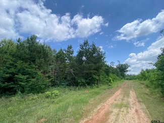 000 County Road 2218, Rusk, TX 75785
