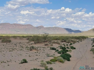 XXXX Tamarack Rd SE, Deming, NM 88030