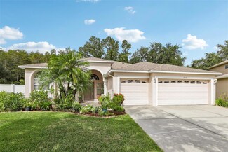 10640 Grand Riviere Dr, Tampa, FL 33647