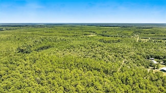 TBD NE 125th Ave, Fort McCoy, FL 32134