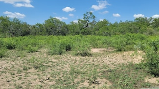 2142 Blue Creek Rd, La Vernia, TX 78121