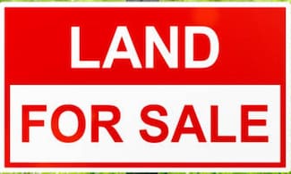 White Street White St, Russellville, AL 35653