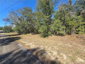 8365 N Ibsen Dr, Dunnellon, FL 34433
