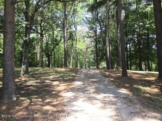 3130 Arkabutla Rd, Coldwater, MS 38618