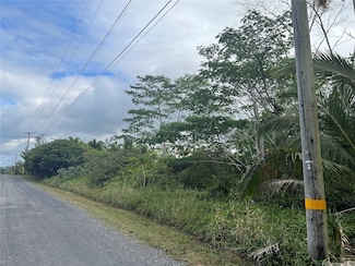 15-1590 Lokelani Ave, Hawaiian Paradise Park, HI 96749