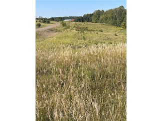 Lot 2 166th St, Garfield Township, WI 54009