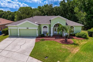28423 Great Bend Place, Wesley Chapel, FL 33543