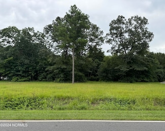 Lot 2 Caleb Dr, Seven Springs, NC 28578