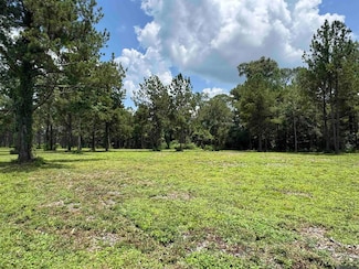 Tract C Louisiana 16, Denham Springs, LA 70706