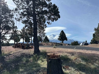 Unit 1 Lot 37 Brook Ln Unit 1, Lake Shastina, CA 96094