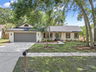 1615 Dawnridge Ct, Brandon, FL 33510