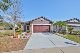 6004 Sweet Birch Dr, Riverview, FL 33578