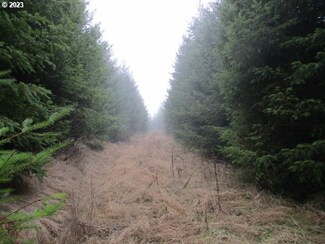 00 Buck Hollow Rd, Sheridan, OR 97378