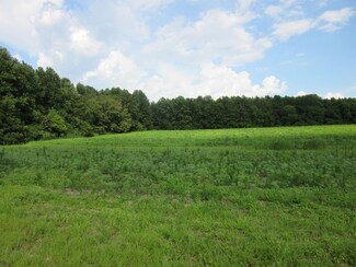 Lot 1 Nc 231 Hwy, Spring Hope, NC 27882