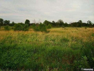 00000 N Baldwin Rd, Oxford Township, MI 48371