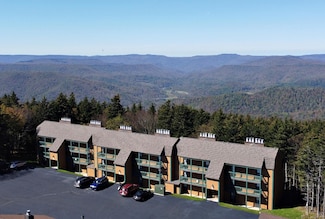 58 Ridgewood St, Snowshoe, WV 26209