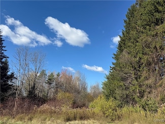 00 Clark Mills Rd, Whitestown, NY 13492