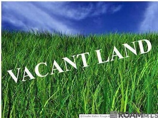 Lot N-1-A-1 Bill Morgan Rd, Prairieville, LA 70769