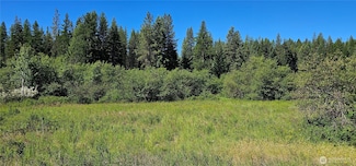 5 XXX Olinger Rd, Springdale, WA 99173