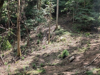 99999 Running Deer Ln Unit Lot 73, Mars Hill, NC 28754