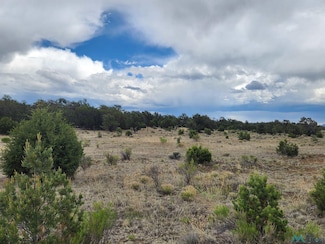 14 Conifer Circle Rd, Pie Town, NM 87827