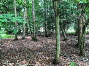 E14 Trail Ridge Rd, Albrightsville, PA 18210